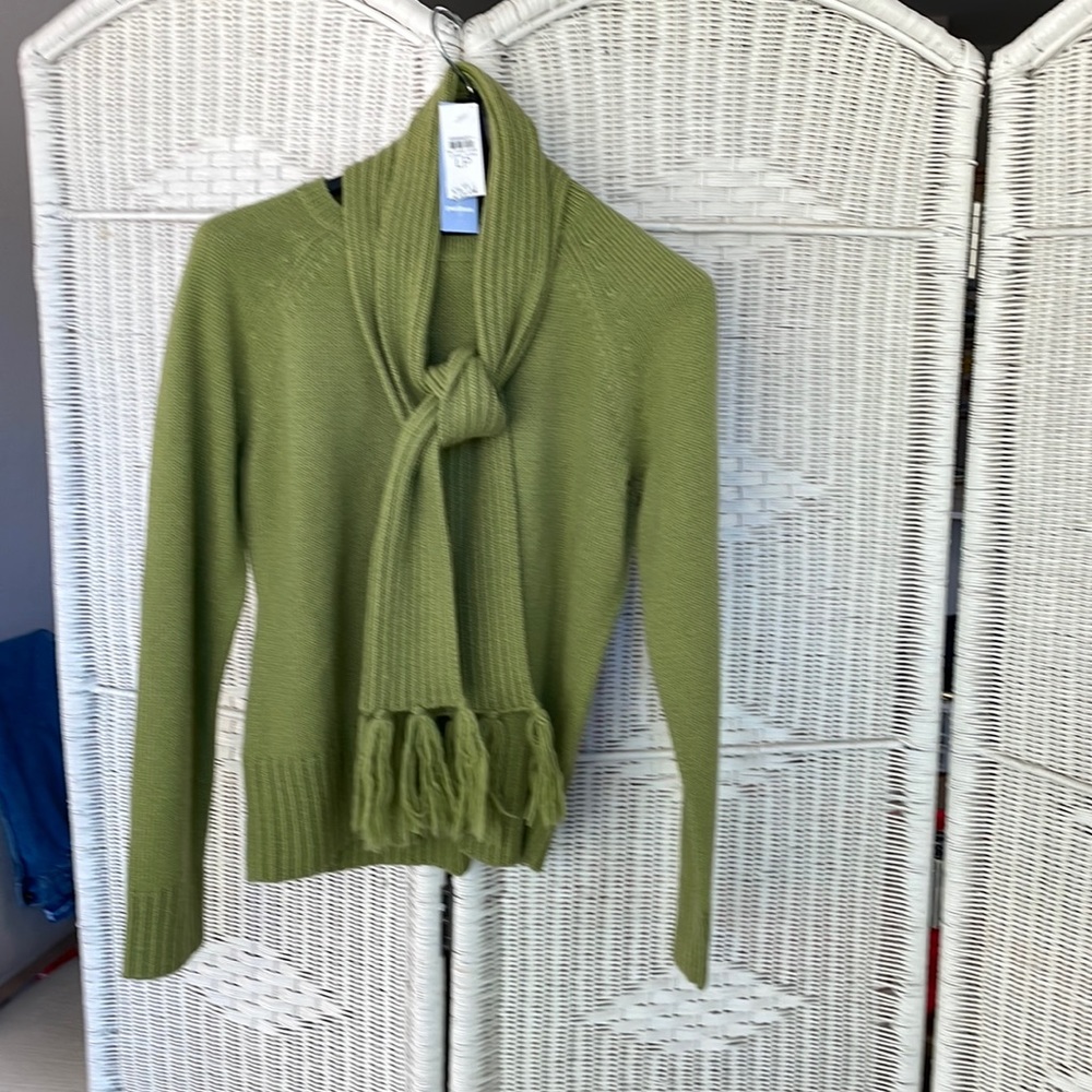 Ann Taylor Loft Merino Wool Blend sweater & scarf. Petite Large. New with tags!